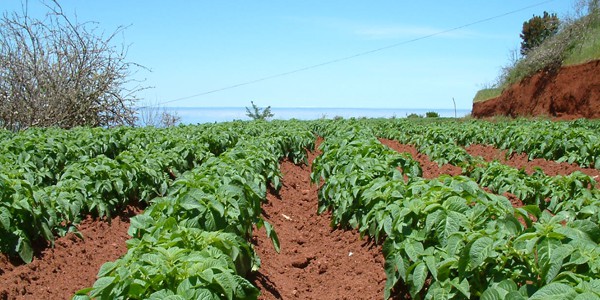 Garafía abre inscripción para el III curso del proyecto formativo Ecoprimario