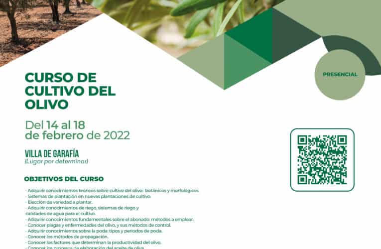 Curso de Cultivo de Olivo