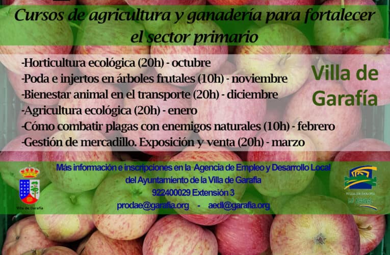 Comienza el proyecto formativo Ecoprimario