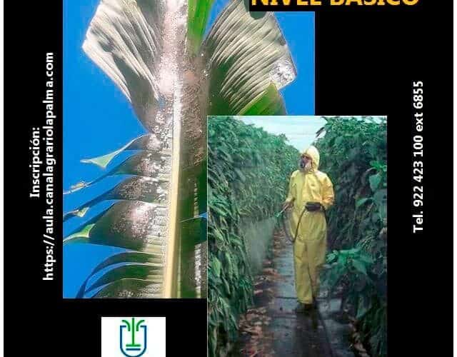 Manipulador productos fitosanitarios (Nivel básico)