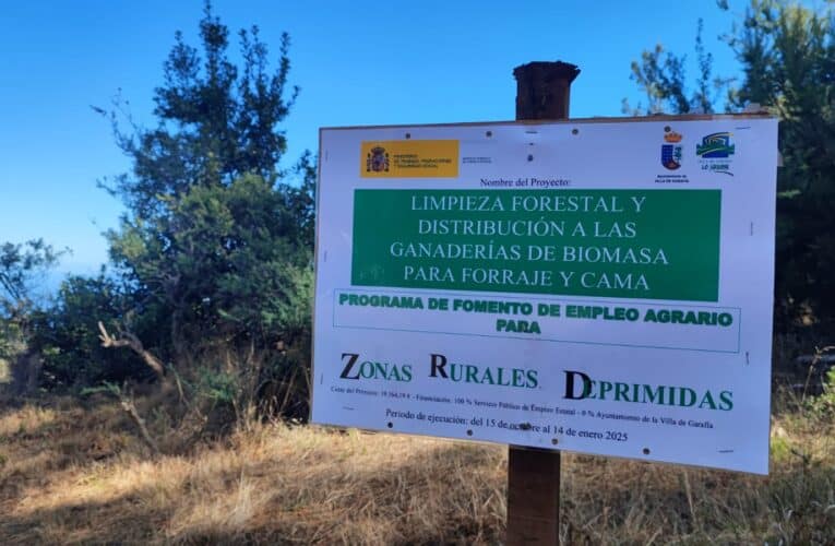 El Ayuntamiento de la Villa de Garafía impulsa la limpieza forestal y la distribución de biomasa a ganaderías locales a través del programa de fomento de empleo agrario