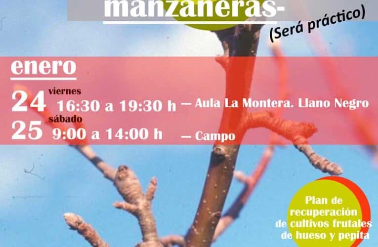 Taller de poda de rejuvenecimiento y fructificación en manzaneras