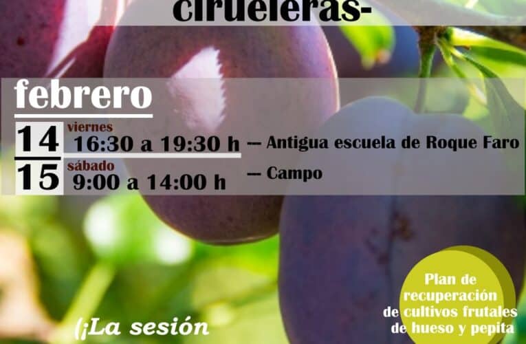 Taller de poda de rejuvenecimiento y fructificación en cirueleras