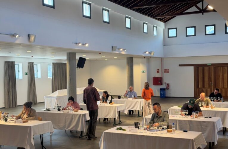 Garafía da a conocer los vinos galardonados en el XXV Concurso Insular con Denominación de Origen La Palma