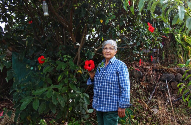 La medicina popular protagoniza este año el homenaje de Garafía por el Día de las Mujeres Rurales